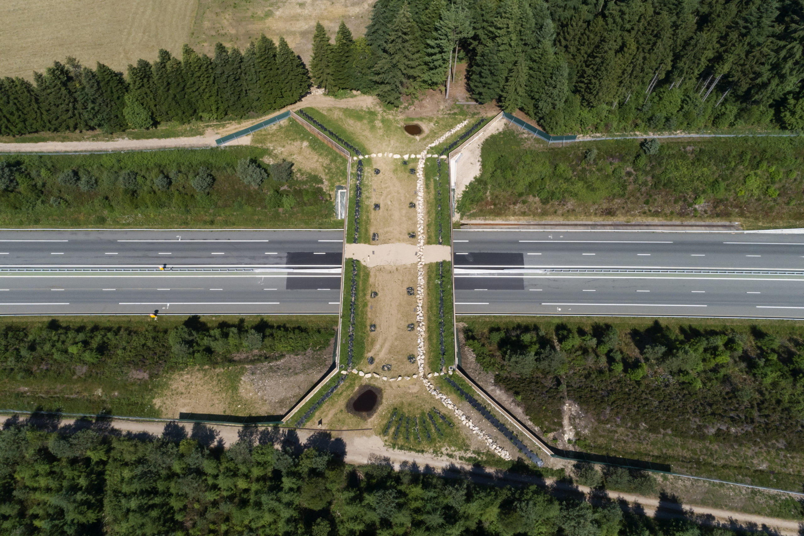 A89 – Eco-Pont de la Pologne – Pk 230 (19)