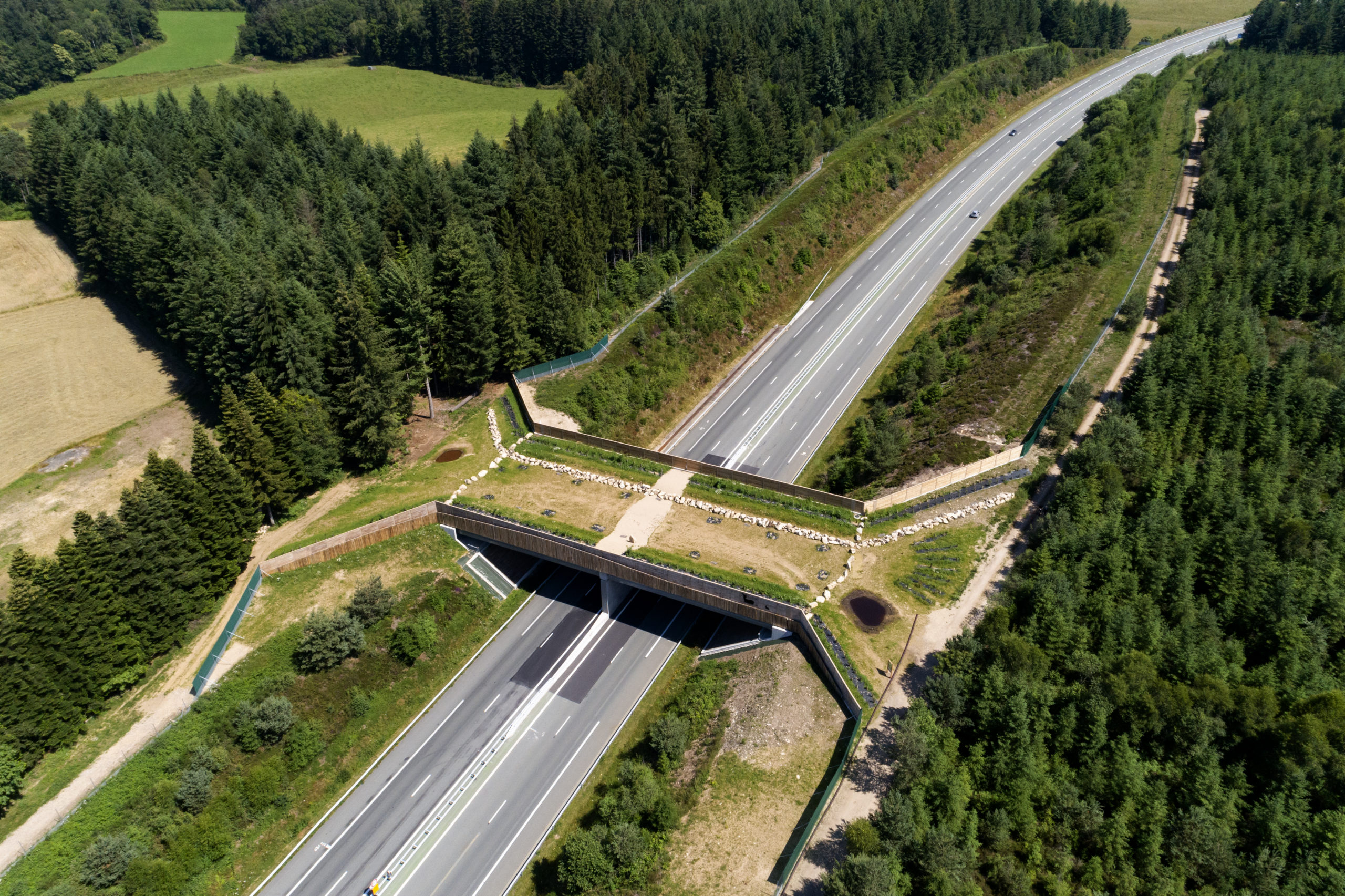 A89 – Eco-Pont de la Pologne – Pk 230 (19)